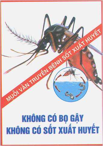 BỆNH SỐT XUẤT HUYẾT VÀ CÁCH PHÒNG CHỐNG