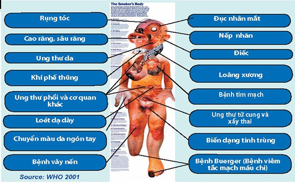 TÁC HẠI CỦA VIỆC HÚT THUỐC LÁ ĐỐI VỚI SỨC KHỎE