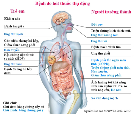 Các bệnh gây ra do hút thuốc thụ động (Ảnh nguồn Internet)