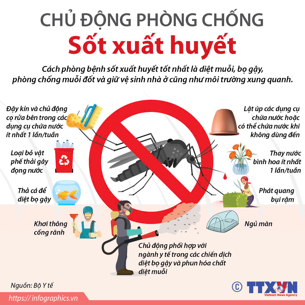 Chủ động phòng chống bệnh sốt xuất huyết (Ảnh nguồn Internet)