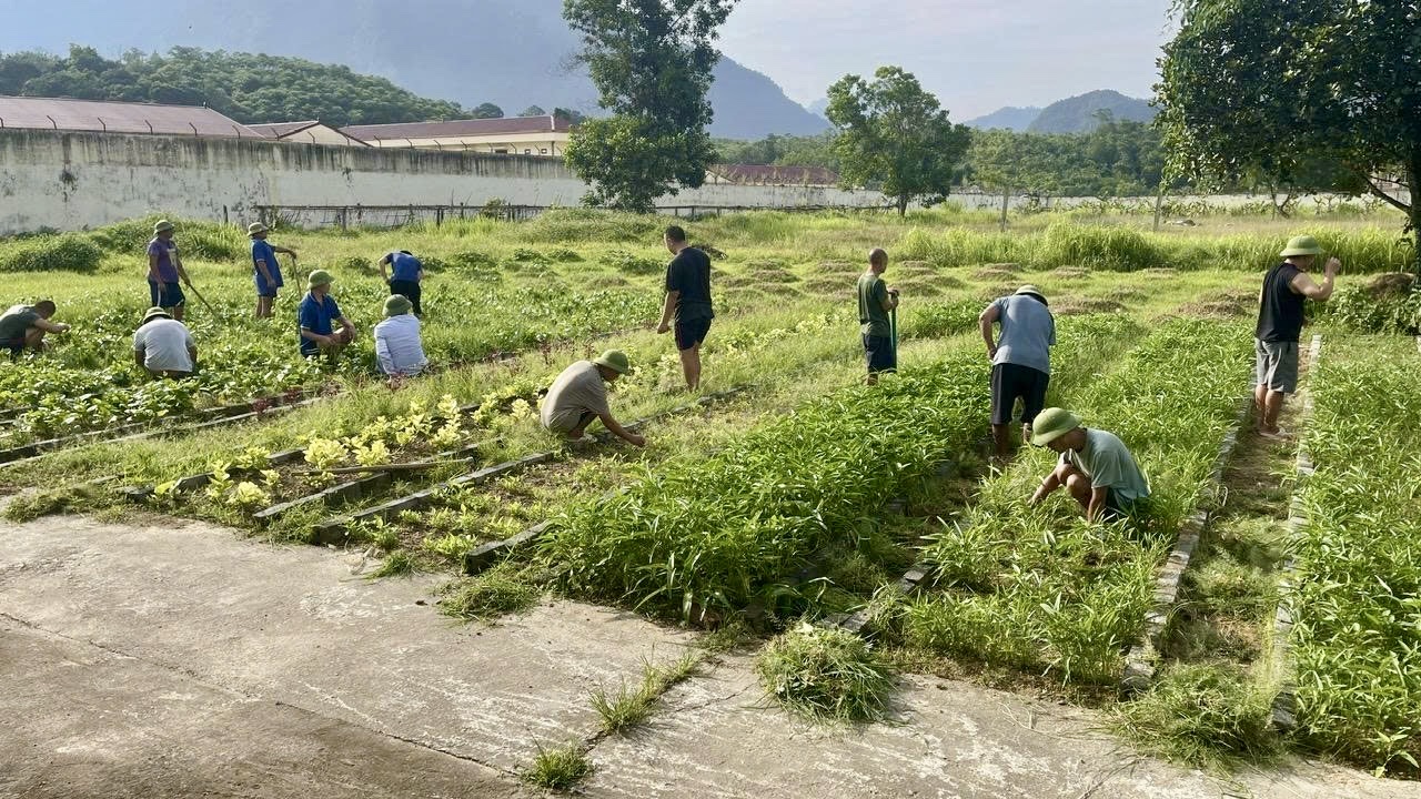 Người bệnh tham gia hoạt động chăm sóc vườn rau tại Trung tâm