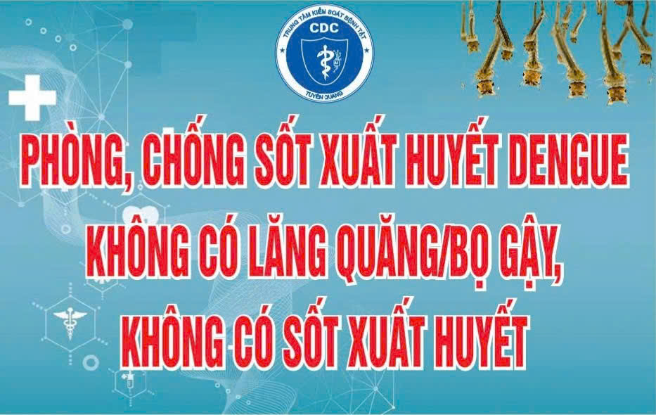Chủ động phòng, chống sốt xuất huyết  Không có lăng quăng, bọ gậy, không có sốt xuất huyết