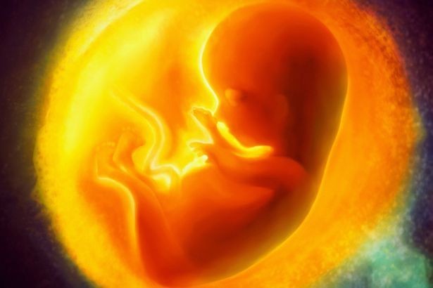 SỰ NGUY HẠI CỦA THUỐC LÁ ĐỐI VỚI PHỤ NỮ MANG THAI  VÀ THAI  NHI